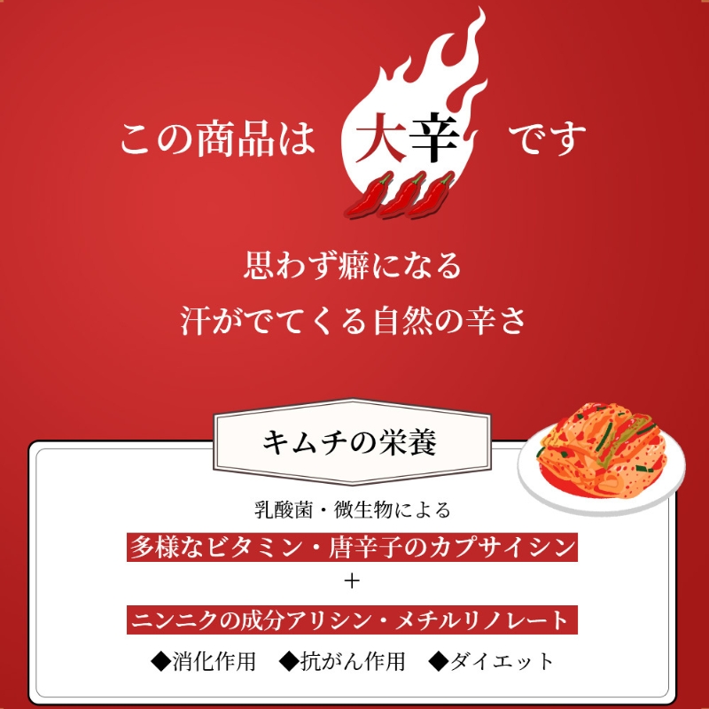 【定期便】6ヵ月連続でお届け！辛党におすすめ！切れてる大辛キムチ 3kg 国産 白菜キムチ 国産 長野県 韓国屋 信州韓国屋 新鮮 健康 発酵食品 おつまみ おかず ご飯のお供 お酒のお供 韓国 白菜